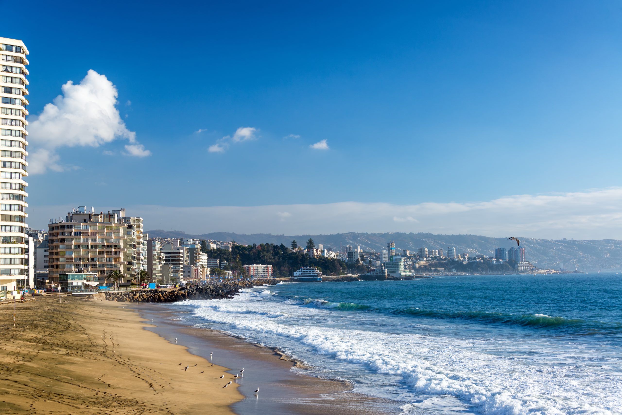 beach-with-sea-gulls-in-vina-del-mar-chile-2026-01-11-09-37-34-utc